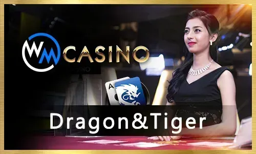 Jilipark Esports Support