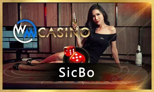 Collage of various Jilipark casino games like slots, roulette, and a live dealer table, all optimized for mobile.